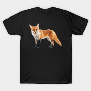 Fox - Woodland Themed Kids Room, Funny Gifts For Forester, Cute Animals T-Shirt